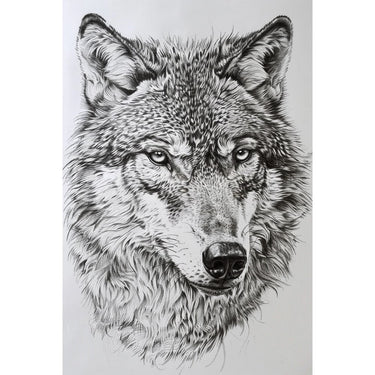 Wolf Drawing Canvas